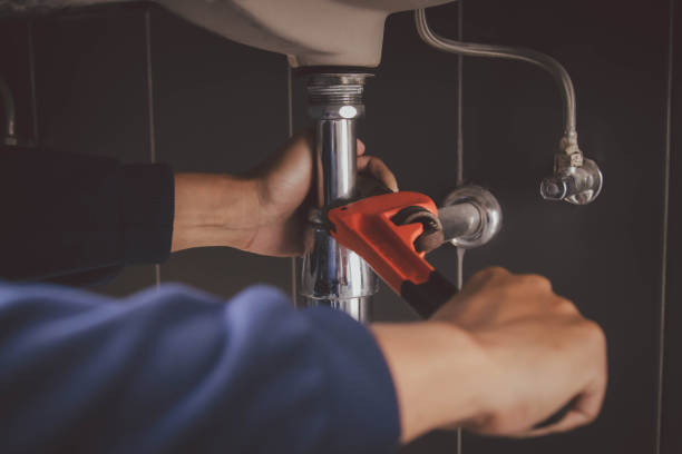 Best Local Plumber Services  in Mcelhattan, PA
